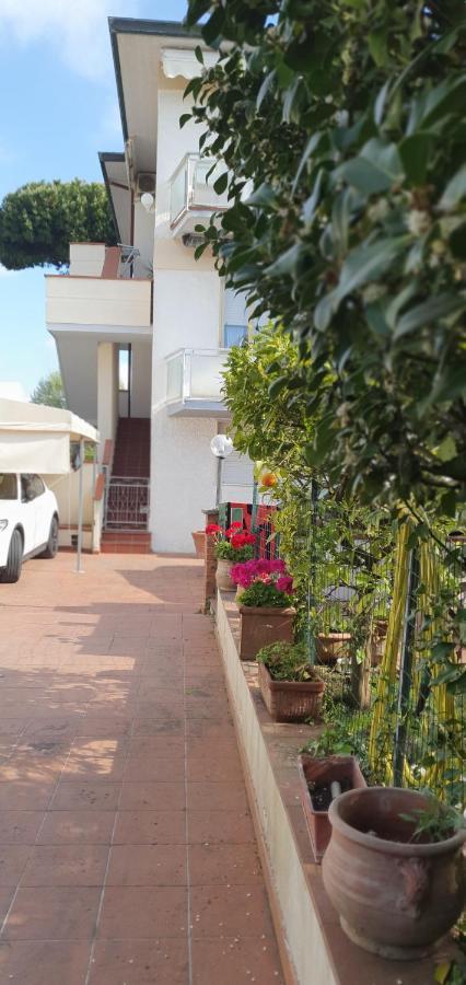 Apartament Happy King Lido di Camaiore Zewnętrze zdjęcie